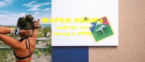 шишки Белокуриха