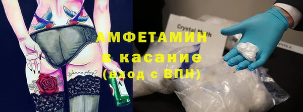 шишки Белокуриха