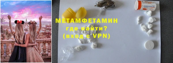 шишки Белокуриха