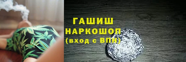 шишки Белокуриха