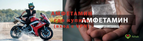 шишки Белокуриха