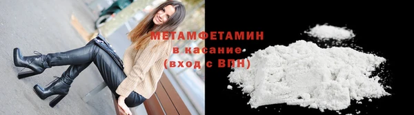 шишки Белокуриха