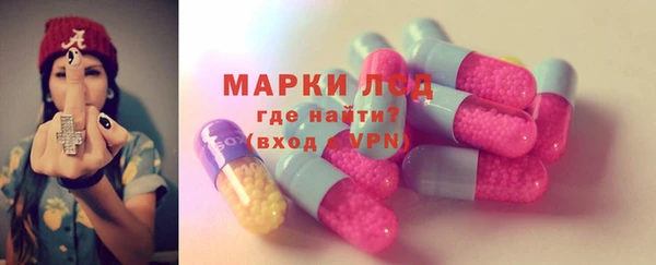 шишки Белокуриха