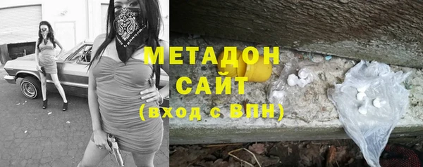 шишки Белокуриха
