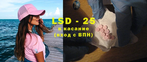 шишки Белокуриха